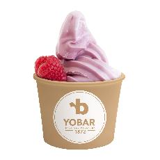 DO ESK REPUBLIKY  DORAZIL CELOSVTOV HIT, FROZEN YOGURT