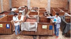 Fairtrade poskytuje pmou finann podporu pstitelm z Asie, Afriky a Latinsk Ameriky 