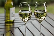Nejoblíbenějším alkoholem Čechů je víno, v množství však pivo stále dominuje 