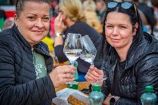 Festival VOC Znojmo zaznamenal 14 120 návštěvníků 