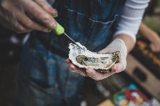 Průvodce Prima FRESH festivalem