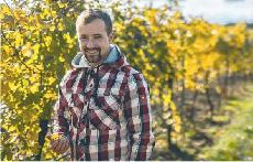 Novinka Artisan Wine Festival vm d ochutnat nejen naturln vna