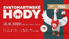 NA SVATOMARTINSKÉ DO ZLÍNA