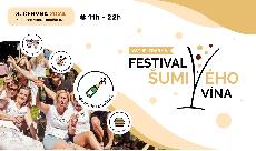 V ervnu vypukne u Baovy vily ji tet ronk bublinkovho festivalu