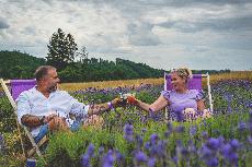 Levandulov festival pot vechny smysly, vetn chut