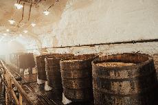 Noc pivovar� 2026: Oslava pivovarnictv� se uskute�n� ve t�ech kraj�ch