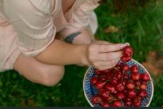 T�e�n� st��daj� jahody. �esk� sady vstupuj� do vrcholu letn� sez�ny